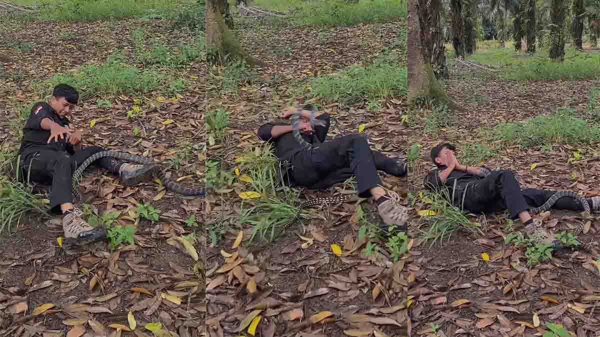 Snake attack viral video youth provoking giant snake in forest nearly bitten