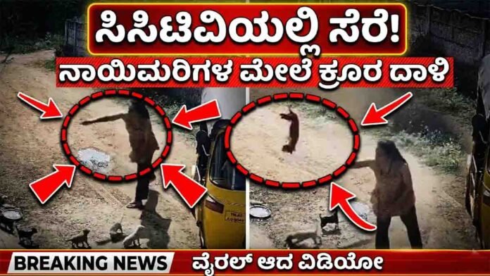 Tamil Nadu woman caught on CCTV killing puppies after neighbour dispute, viral cruelty incident