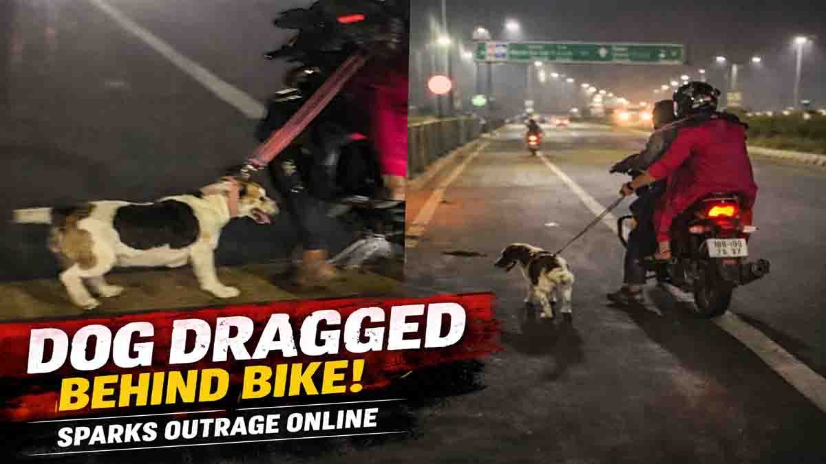 Dog Video : ಕ್ರೌರ್ಯದ ಪರಮಾವಧಿ! ಚಲಿಸುವ ಬೈಕ್ ಹಿಂದೆ ನಾಯಿಯನ್ನು ಓಡಿಸಿದ ಮಾಲೀಕರು; ವಿಡಿಯೋ ಕಂಡು ನೆಟ್ಟಿಗರು ಫುಲ್ ಗರಂ! 1 Dog video showing pet dog forced to run behind a moving motorcycle on highway