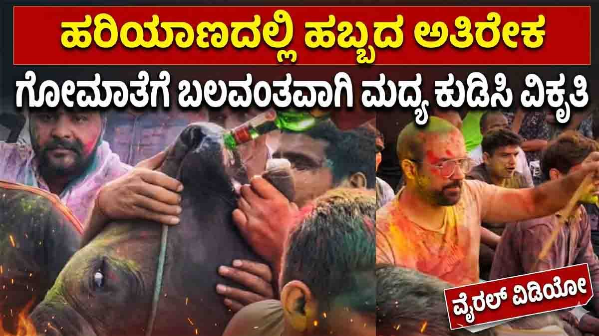 Haryana Holi Video : ಹರಿಯಾಣದಲ್ಲಿ ಮನುಷ್ಯತ್ವ ಮರೆತ ಮದ್ಯವ್ಯಸನಿಗಳು: ಗೋಮಾತೆಗೆ ಬಲವಂತವಾಗಿ ಮದ್ಯ ಕುಡಿಸಿ ವಿಕೃತಿ! 1 Cow forced to drink alcohol during Holi in Haryana viral video