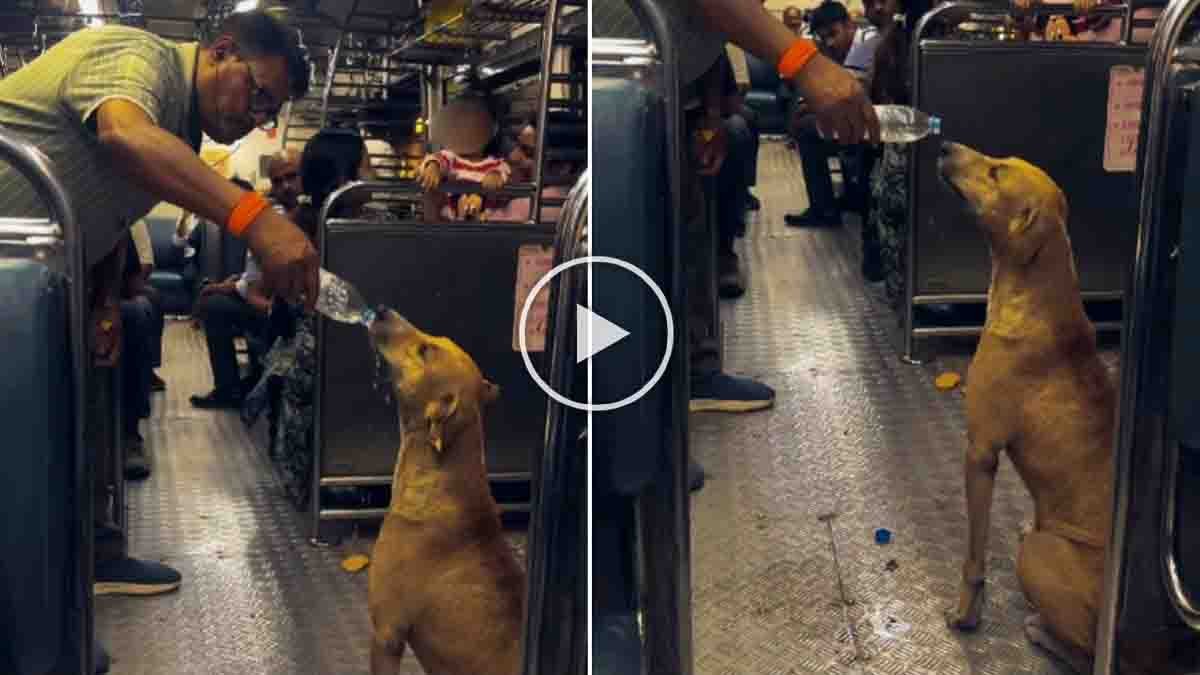 Heartwarming video showing a man giving water to a thirsty stray dog inside a crowded Mumbai local train