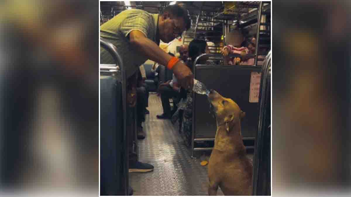 Heartwarming video showing a man giving water to a thirsty stray dog inside a crowded Mumbai local train
