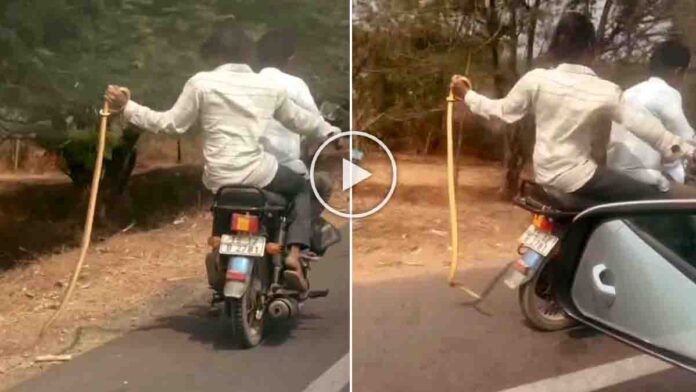 Shocking snake bike stunt video shows a man holding a live snake on a speeding motorcycle, raising serious safety concerns.
