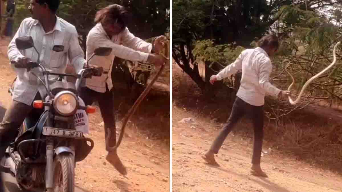 Snake Bike Stunt : ಬೈಕ್ನಲ್ಲಿ ಬೃಹತ್ ಹಾವಿನೊಂದಿಗೆ ಯುವಕನ ಅಪಾಯಕಾರಿ ಸ್ಟಂಟ್! ನೆಟ್ಟಿಗರು ಫುಲ್ ಗರಂ! 2 Shocking snake bike stunt video shows a man holding a live snake on a speeding motorcycle, raising serious safety concerns.