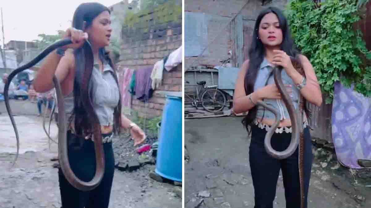 Snake Viral Video shows a fearless young woman confidently catching and playing with a large snake.