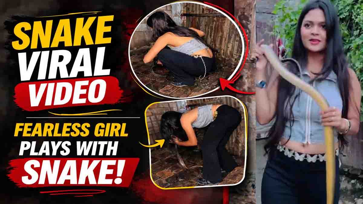 Snake Viral Video shows a fearless young woman confidently catching and playing with a large snake.