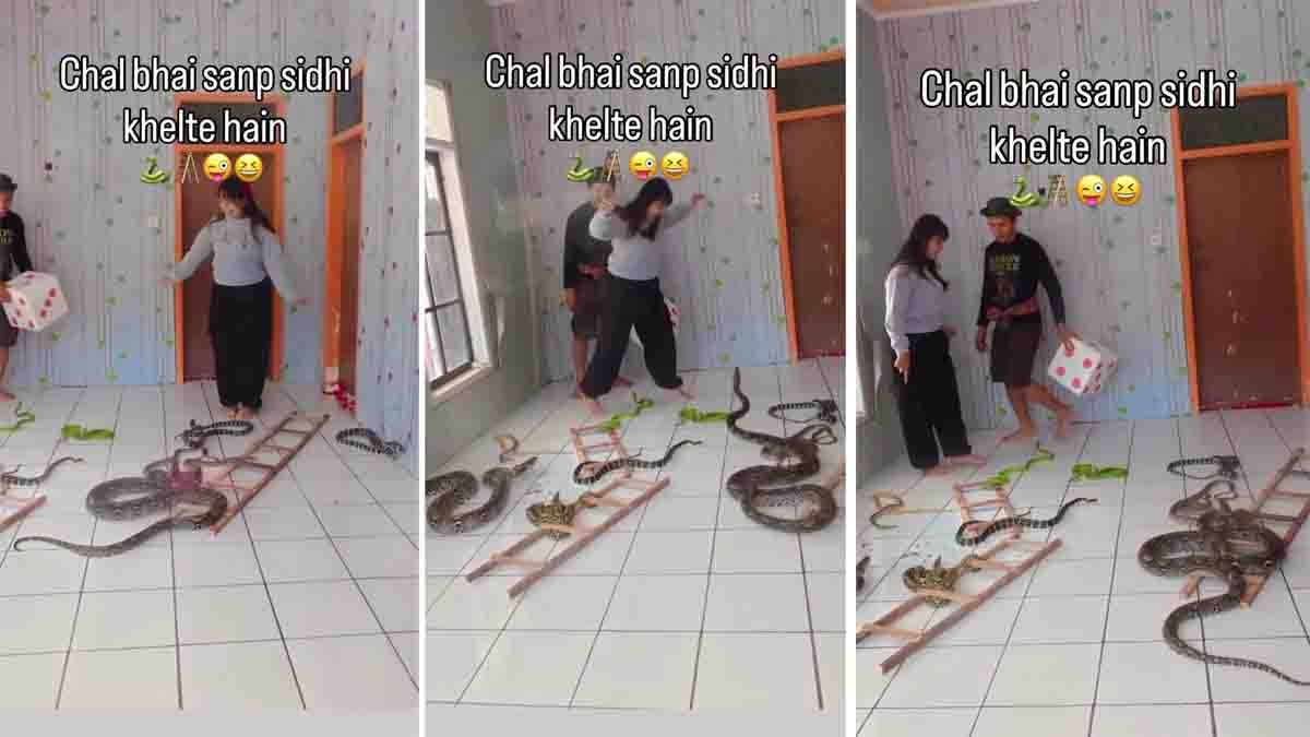 A viral snake game video shows a woman playing with real snakes, sparking safety concerns online.