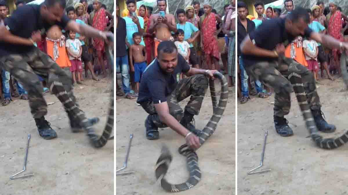 Giant King Cobra 15 feet long on road rescued by snake expert in India viral video