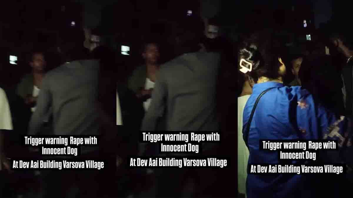 Mumbai News incident showing public outrage over stray dog assault in Versova