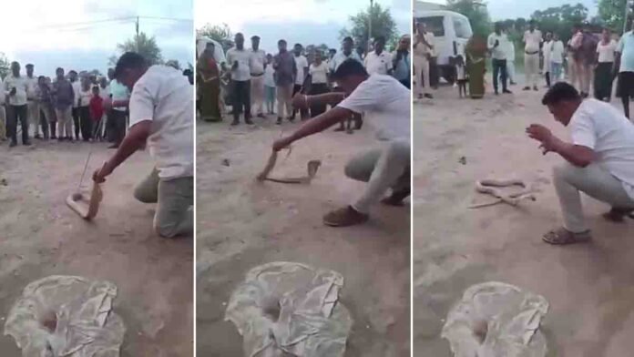 Bihar Cobra attack Video showing snake expert bitten during rescue attempt