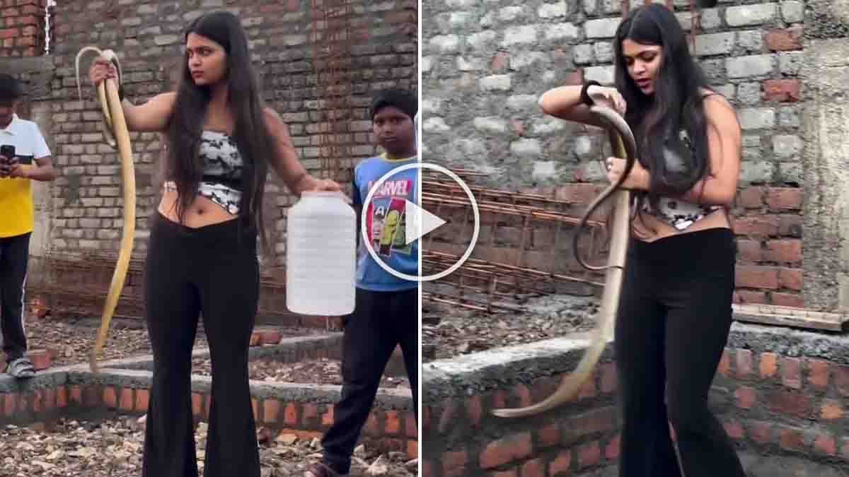 Female snake catcher rescuing a dangerous cobra with bare hands inside a house under construction