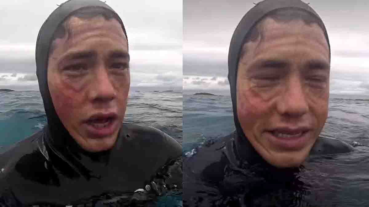 Sea turtle slaps scuba diver during underwater filming funny viral scene