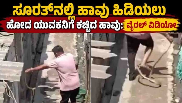 Young man attacked by rat snake during Surat snake incident after trying to catch snake without safety equipment