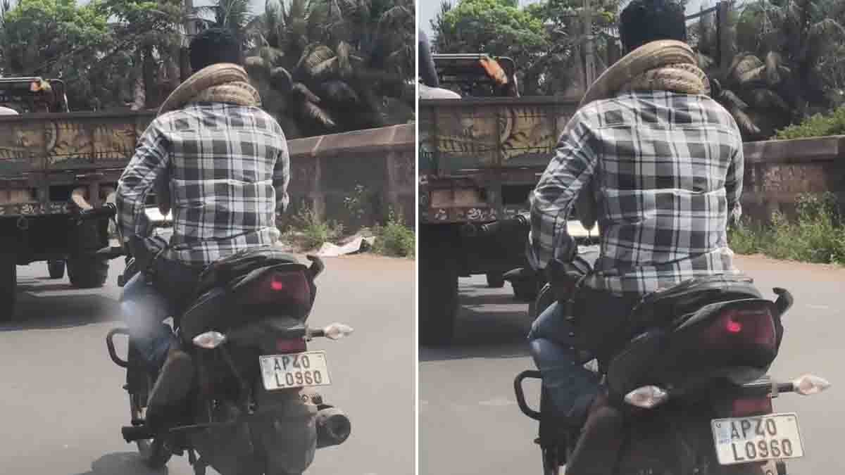 Young man performing a viral python bike stunt with a giant snake wrapped around his neck while riding a motorcycle