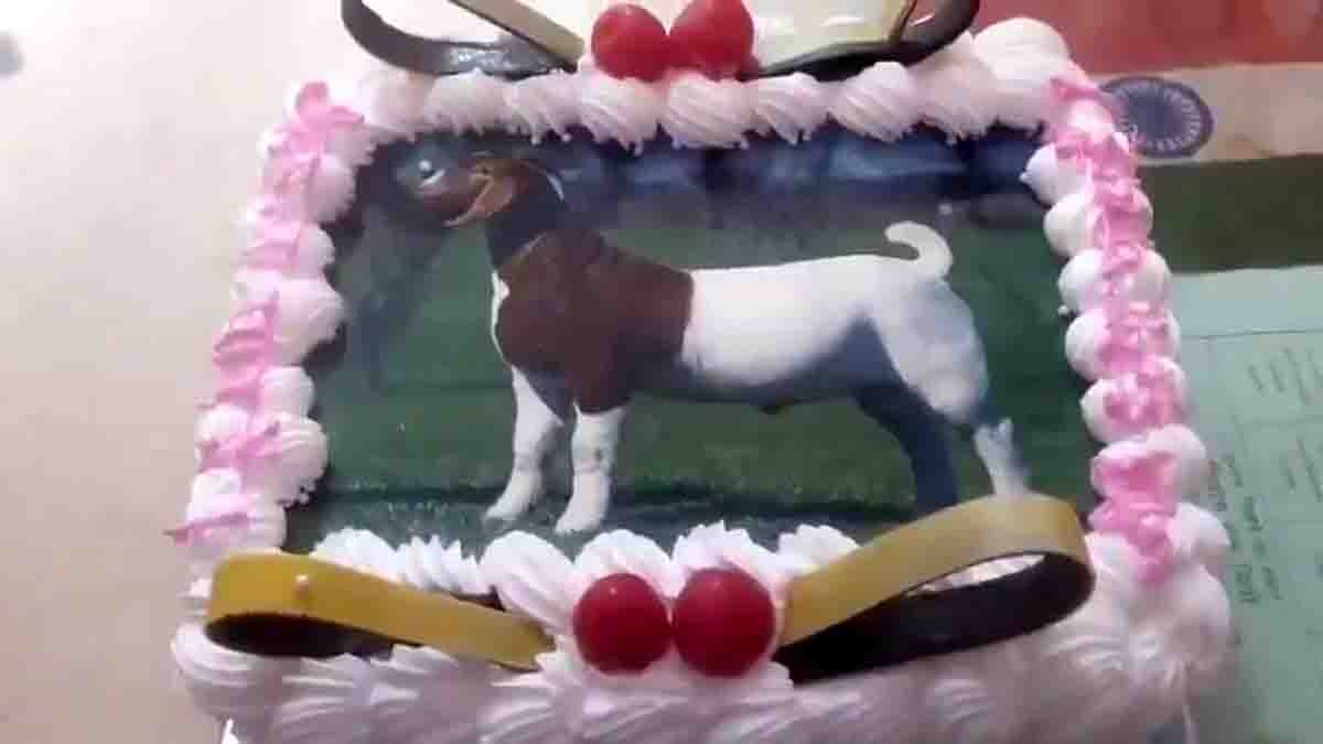 Agra Bakrid Cake Celebration : ಬಕ್ರೀದ್ ಹಬ್ಬಕ್ಕೆ ಪ್ರಾಣಿ ಬಲಿಯ ಬದಲು ಕೇಕ್ ಕತ್ತರಿಸಿದ ಆಗ್ರಾದ ಮುಸ್ಲಿಂ ಕುಟುಂಬ: ವೈರಲ್ ಆದ ವಿಭಿನ್ನ ಆಚರಣೆ 2 The Agra Bakrid Cake Celebration has sparked nationwide discussion after a family chose a goat-shaped cake over animal sacrifice.