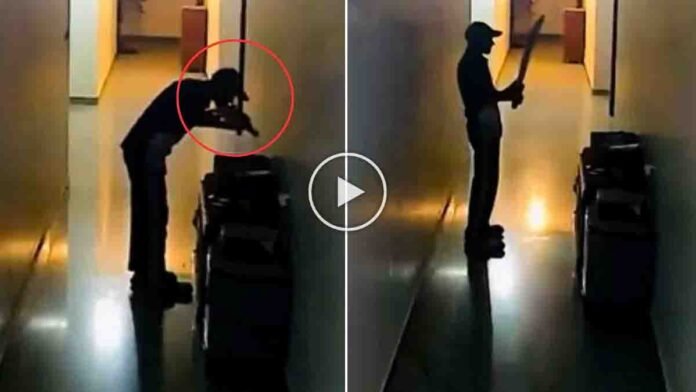 Blinkit delivery boy emotionally kissing cricket bat in viral CCTV video