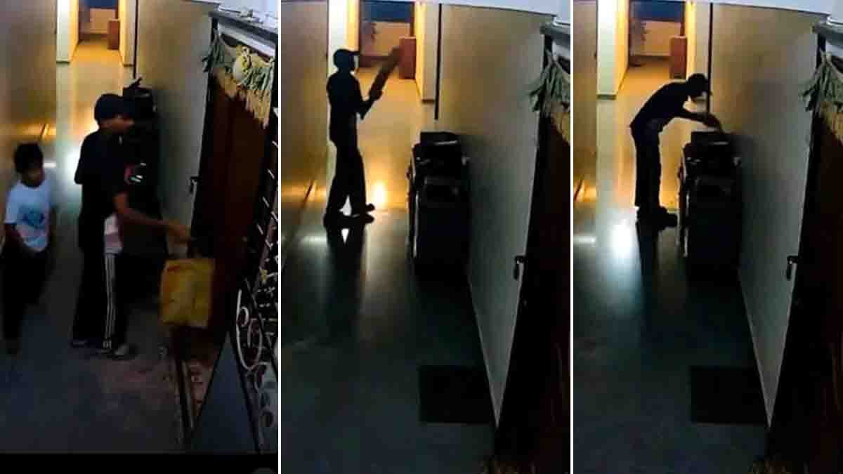 Blinkit delivery boy emotionally kissing cricket bat in viral CCTV video