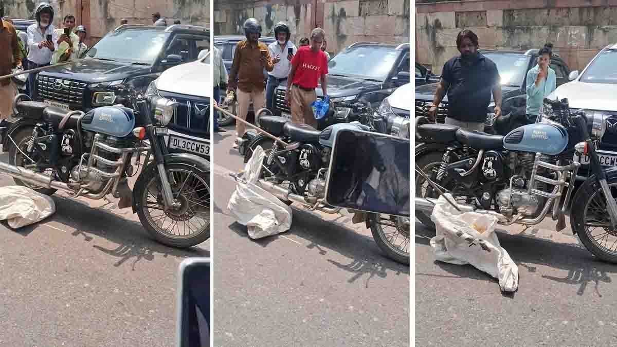 Cobra Inside Bike Viral Video Terrifies Royal Enfield Owners