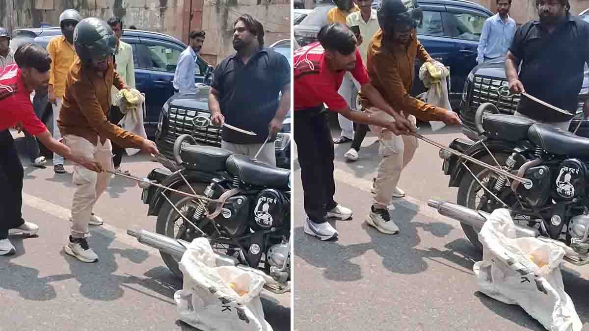 Cobra Inside Bike Viral Video Terrifies Royal Enfield Owners