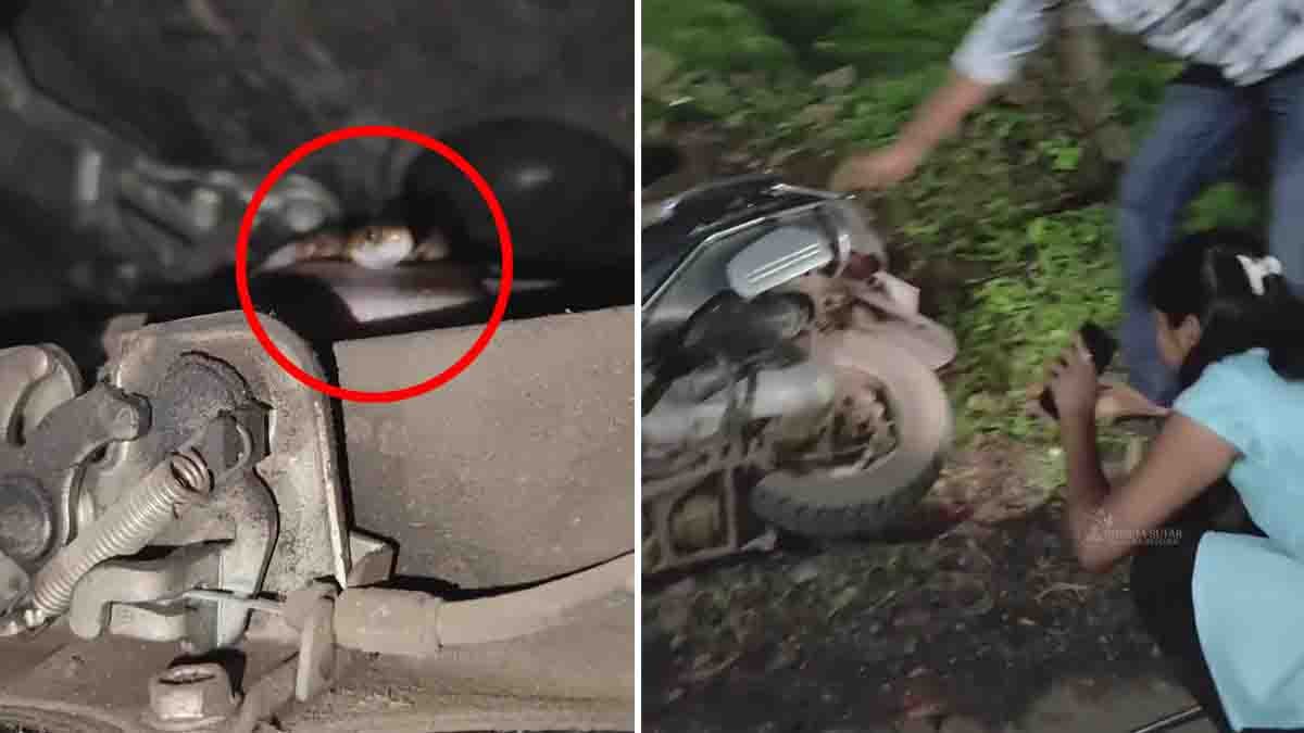 Cobra Inside Scooter Shocks Rider During Viral Snake Rescue
