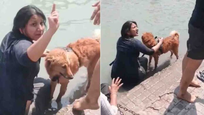 Haridwar Dog Bath Controversy woman bathing pet dog in Ganga river at Har Ki Pauri