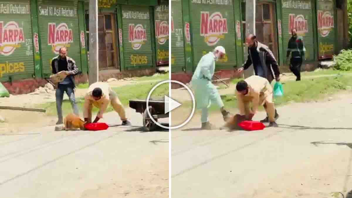 Kashmir stray dog video showing brutal animal cruelty incident in Budgam district