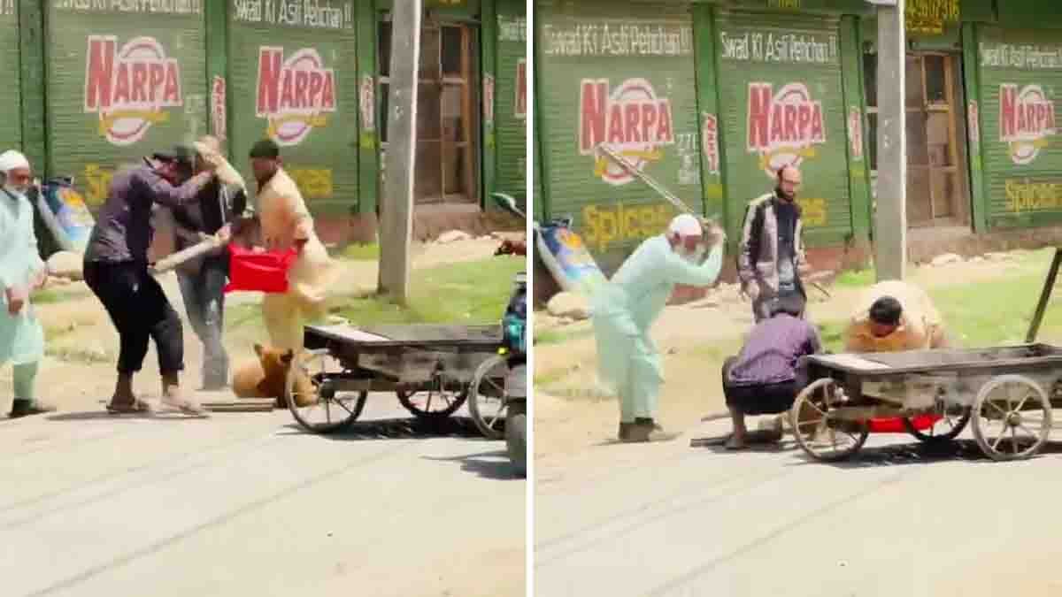 Kashmir stray dog video showing brutal animal cruelty incident in Budgam district