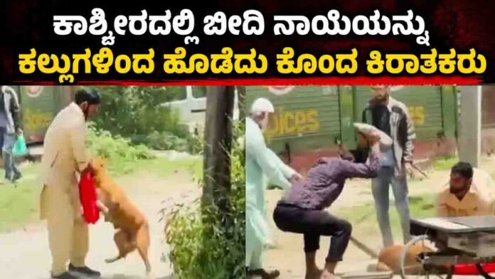 Kashmir stray dog video showing brutal animal cruelty incident in Budgam district
