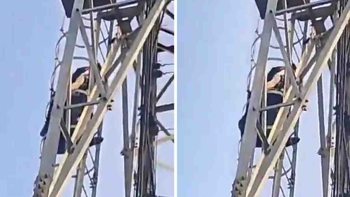 Viral video woman on mobile tower demanding lover instead of husband in Uttar Pradesh village