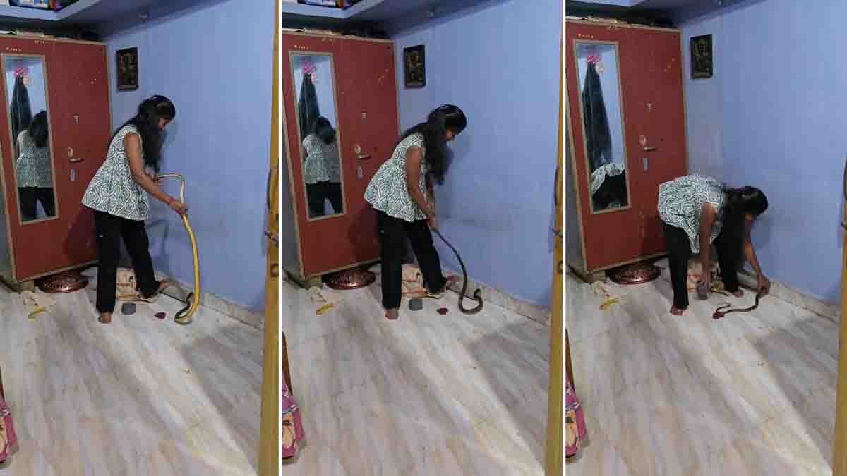 Female snake catcher rescuing a giant snake hidden inside an air conditioner during a viral rescue operation.