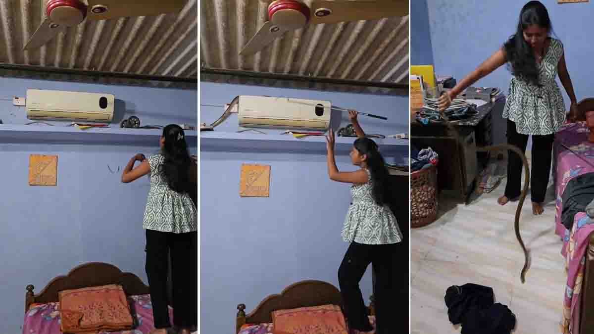 Female snake catcher rescuing a giant snake hidden inside an air conditioner during a viral rescue operation.
