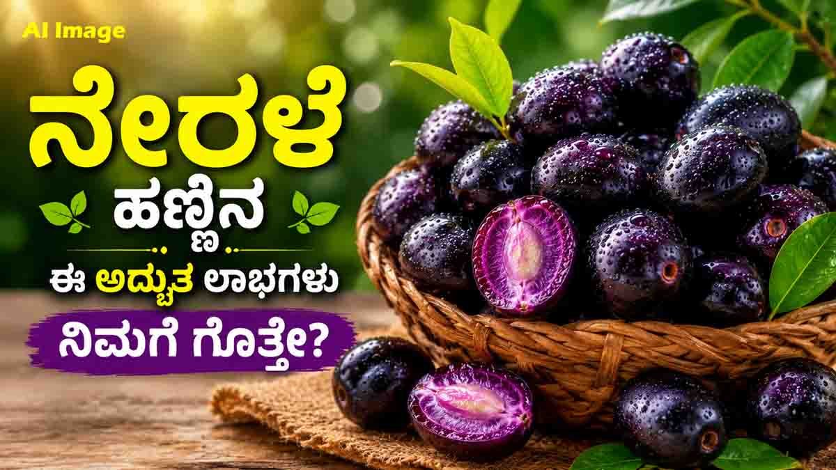 Discover Jamun Health Benefits, from blood sugar control and improved digestion to stronger immunity, better blood health, and overall wellness.