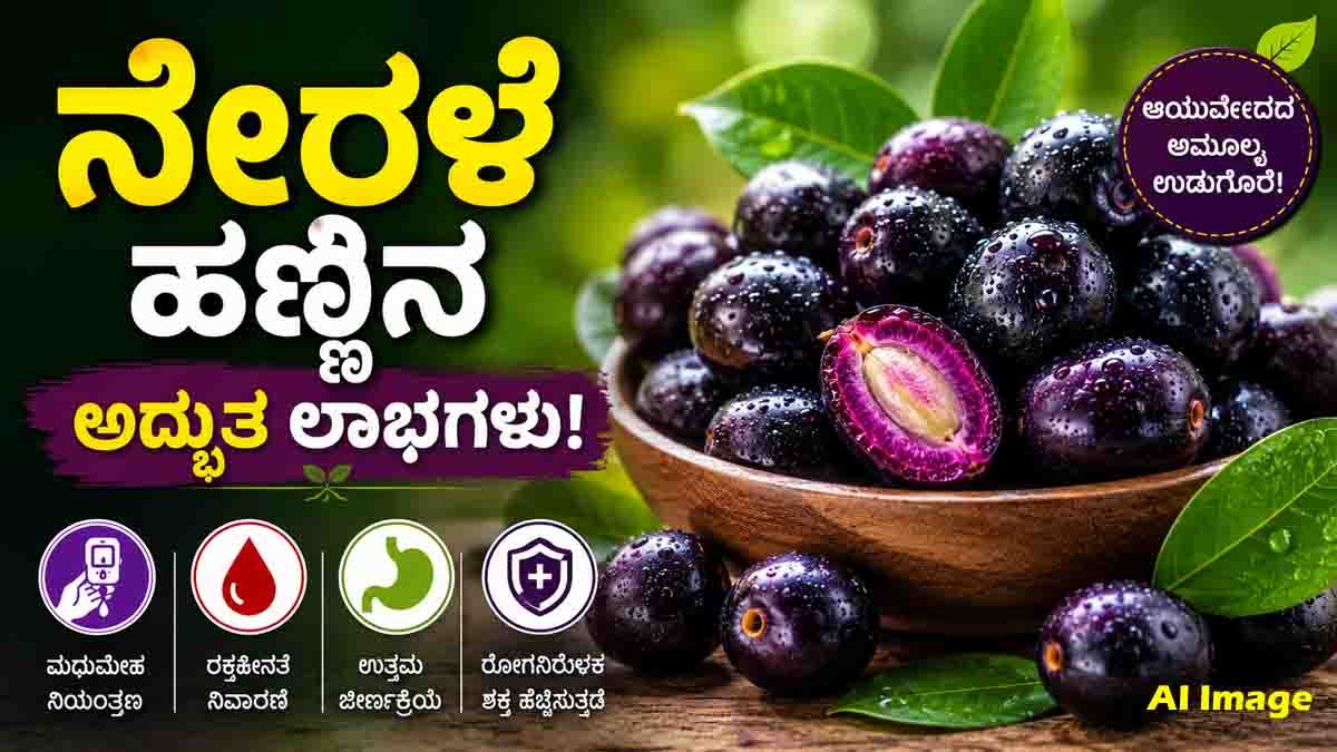 Discover Jamun Health Benefits, from blood sugar control and improved digestion to stronger immunity, better blood health, and overall wellness.