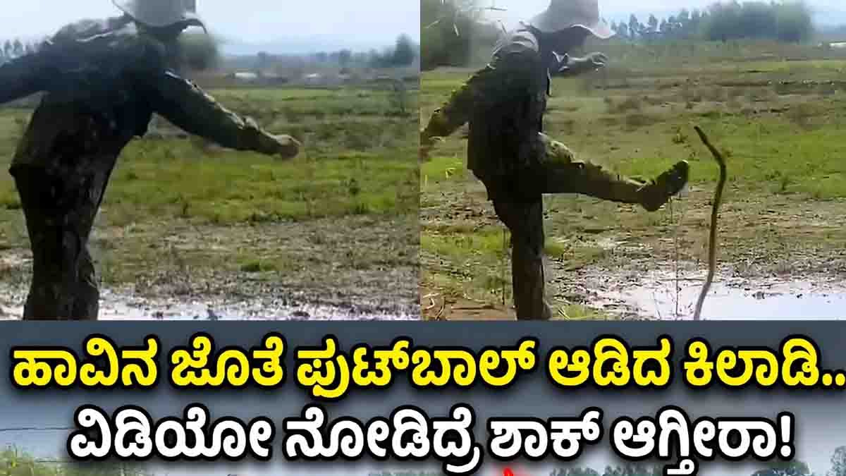 Man Kicks Snake : ನಿನ್ನ ಧೈರ್ಯಕ್ಕೊಂದು ಸಲಾಂ ಗುರು! ಹಾವಿನ ಜೊತೆ ಫುಟ್ಬಾಲ್ ಆಡಿದ ಕಿಲಾಡಿ.. ವಿಡಿಯೋ ನೋಡಿದ್ರೆ ಶಾಕ್ ಆಗ್ತೀರಾ! 1 Man Kicks Snake video 1