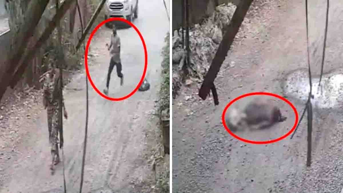 Palghar Woman Attack : ಪಾಲ್ಘರ್ ಬೆಚ್ಚಿಬೀಳಿಸಿದ ಭೀಕರ ಕೃತ್ಯ: ಮಹಿಳಾ ಸಹೋದ್ಯೋಗಿಗೆ ಕುಡುಗೋಲಿನಿಂದ 8 ಬಾರಿ ಇರಿದ ನರಾಧಮ: ಸಿಸಿಟಿವಿಯಲ್ಲಿ ಘೋರ ಕೃತ್ಯ ಸೆರೆ...! 26 Palghar Woman Attack captured on CCTV as government employee is brutally assaulted by colleague in Maharashtra