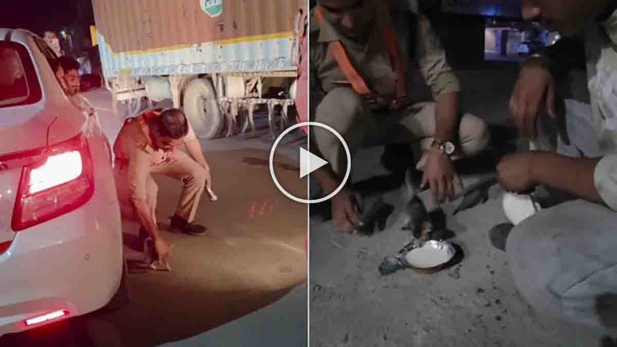 Uttarakhand Police Officer Rescues Kitten Trapped Under Car in Viral Video