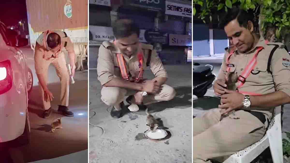 Uttarakhand Police Officer Rescues Kitten Trapped Under Car in Viral Video