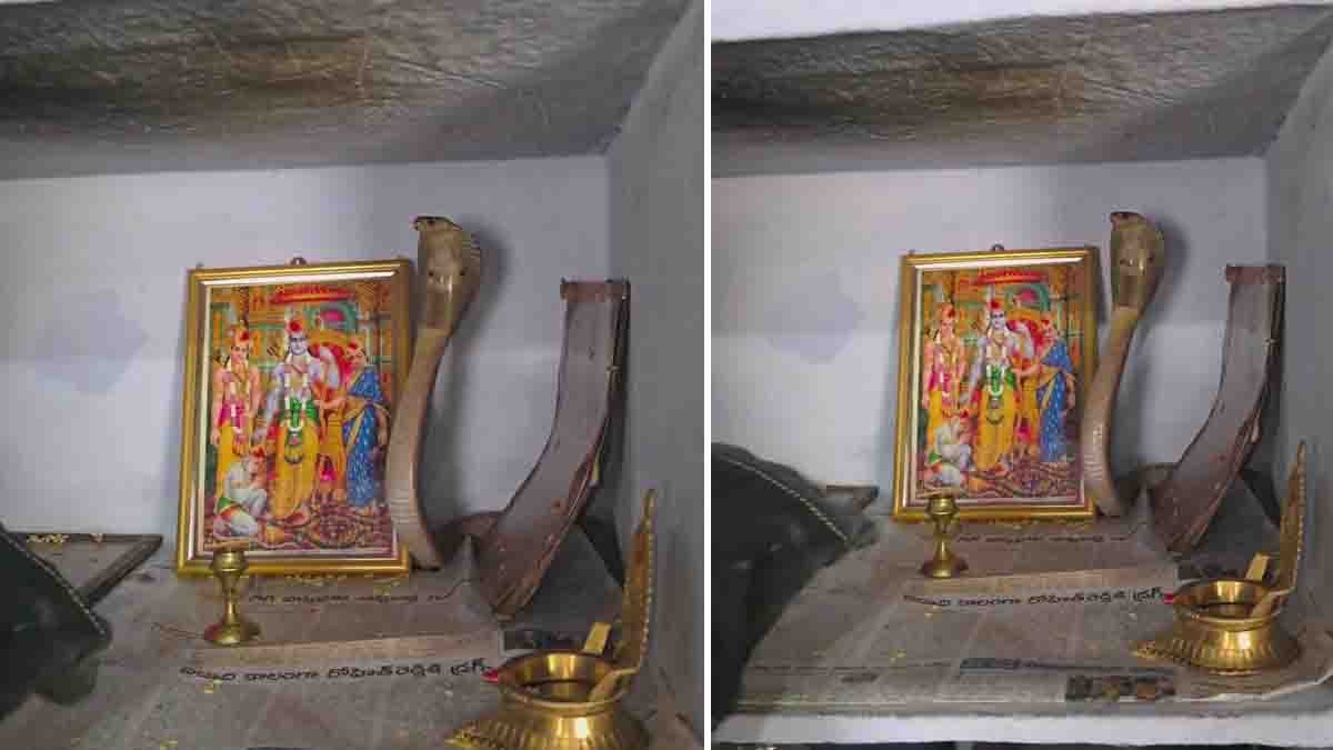 King Cobra raising its hood beside a Lord Rama portrait inside a home prayer room during a viral rescue incident.