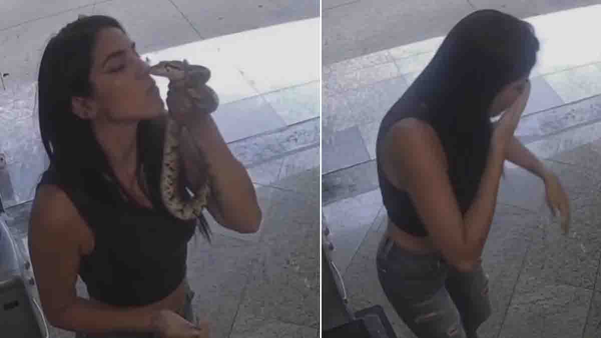 Snake bite video showing a woman being attacked after attempting to kiss a large snake during a social media stunt.
