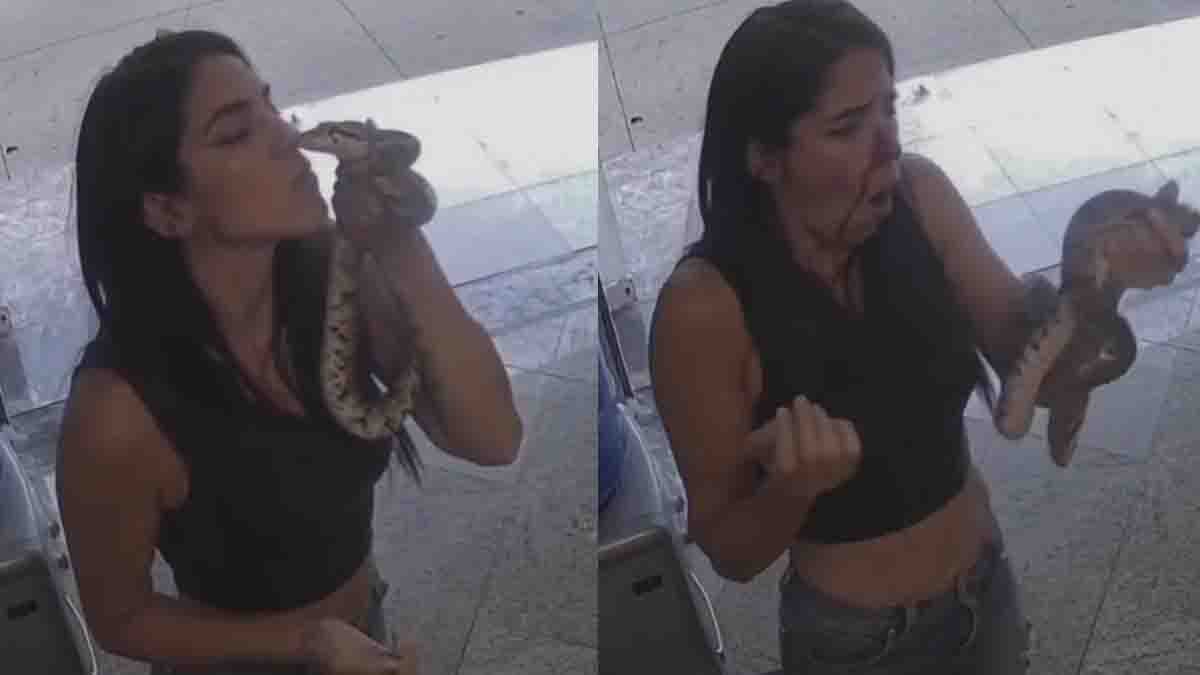 Snake bite video showing a woman being attacked after attempting to kiss a large snake during a social media stunt.