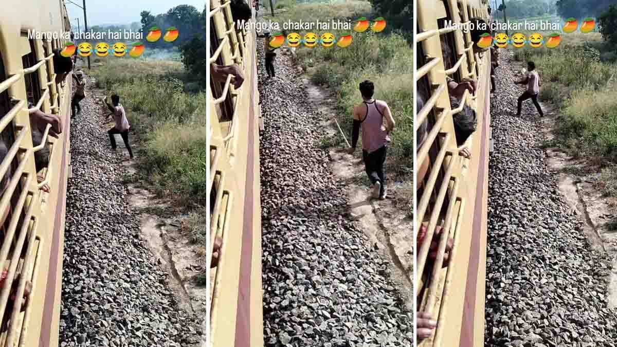 The viral Train Passenger Mango Video shows a passenger attempting to board a moving train after picking mangoes, only to be chased by an angry orchard guard.