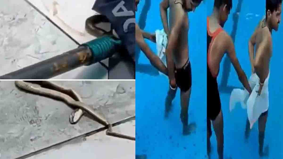 Swimming Pool Snake Viral Video: Young Man Finds Water Snake Inside Swimwear