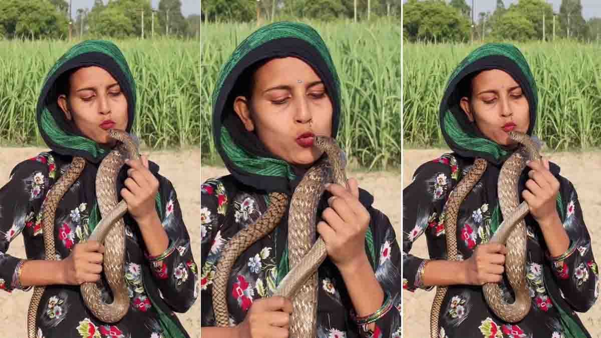Woman kissing a cobra during a dangerous viral social media stunt captured on video.