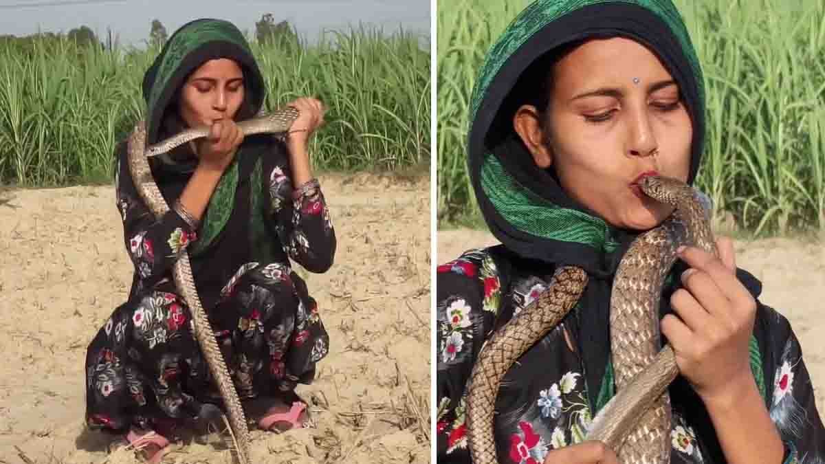 Woman kissing a cobra during a dangerous viral social media stunt captured on video.