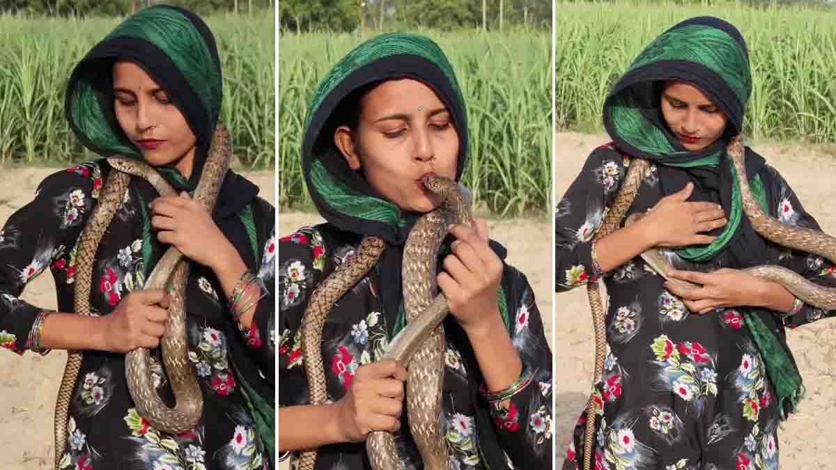 Woman kissing a cobra during a dangerous viral social media stunt captured on video.