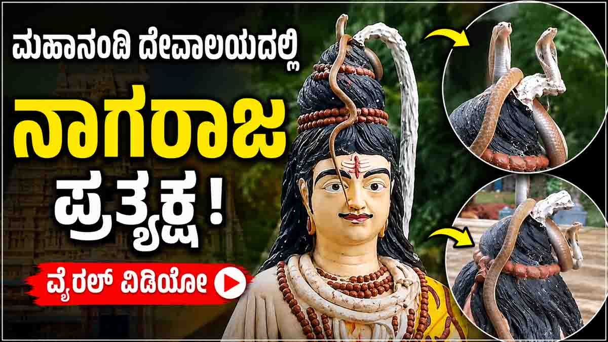 Mahanandi Temple Snake Video : ಮಹಾನಂದಿ ಶಿವನ ವಿಗ್ರಹದ ಮೇಲೆ ಪ್ರತ್ಯಕ್ಷನಾದ ನಾಗರಾಜ: ಭಕ್ತರ ಮೈಮನ ಪುಳಕಿತಗೊಳಿಸಿದ ವೈರಲ್ ವಿಡಿಯೋ! 1 Mahanandi Temple Snake Video | King Cobra on Shiva Statue