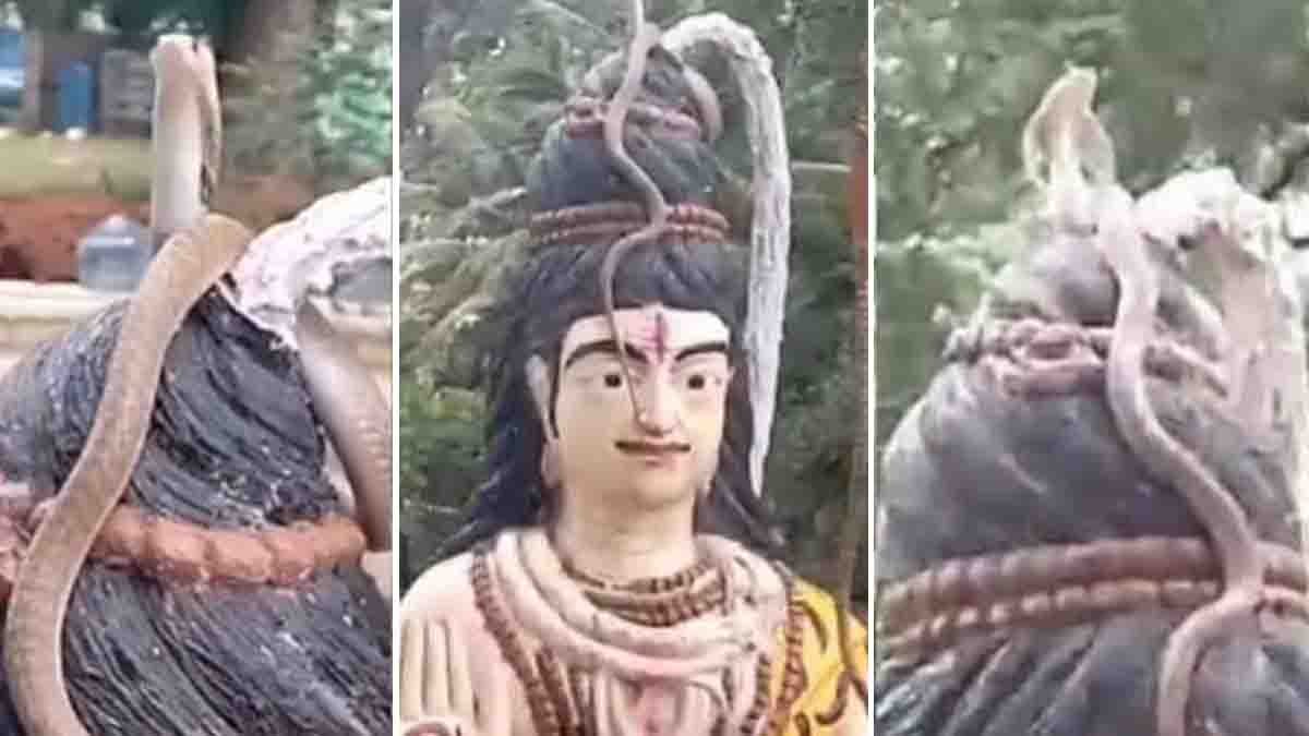 Mahanandi Temple Snake Video : ಮಹಾನಂದಿ ಶಿವನ ವಿಗ್ರಹದ ಮೇಲೆ ಪ್ರತ್ಯಕ್ಷನಾದ ನಾಗರಾಜ: ಭಕ್ತರ ಮೈಮನ ಪುಳಕಿತಗೊಳಿಸಿದ ವೈರಲ್ ವಿಡಿಯೋ! 2 Mahanandi Temple Snake Video | King Cobra on Shiva Statue