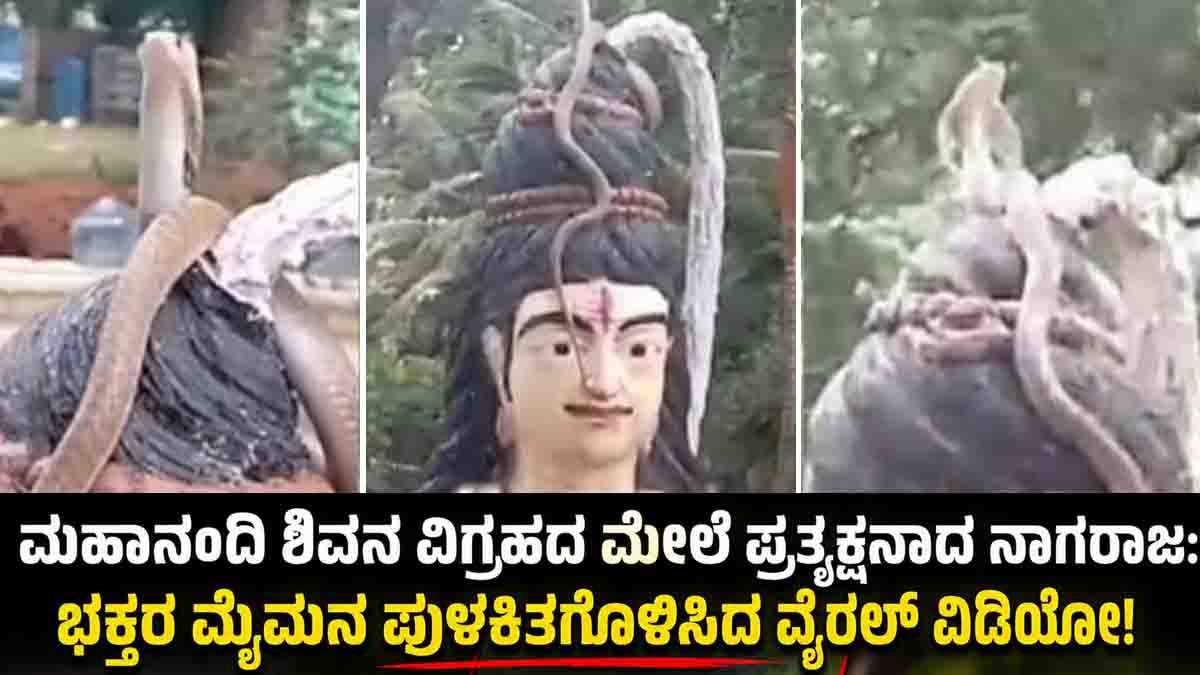 Mahanandi Temple Snake Video : ಮಹಾನಂದಿ ಶಿವನ ವಿಗ್ರಹದ ಮೇಲೆ ಪ್ರತ್ಯಕ್ಷನಾದ ನಾಗರಾಜ: ಭಕ್ತರ ಮೈಮನ ಪುಳಕಿತಗೊಳಿಸಿದ ವೈರಲ್ ವಿಡಿಯೋ! 1 Mahanandi Temple Snake Video | King Cobra on Shiva Statue