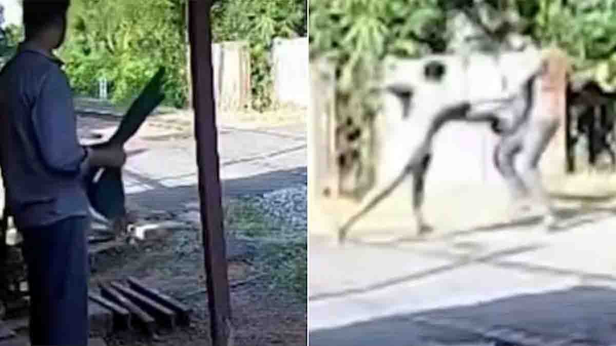 Tamil Nadu railway gatekeeper saves a man seconds before an express train hits him. Viral CCTV rescue video highlights the importance of railway safety.