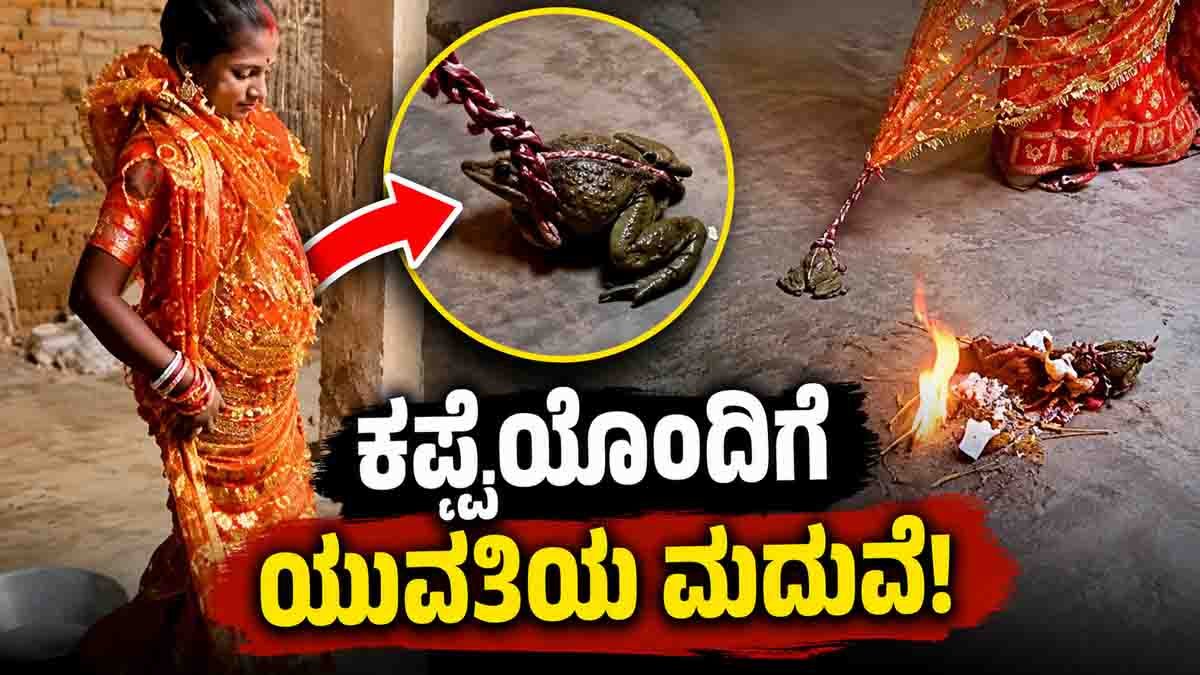 Woman Marries Frog Video : ಅಗ್ನಿಸಾಕ್ಷಿಯಾಗಿ ಕಪ್ಪೆಯನ್ನು ವರಿಸಿದ ಯುವತಿ: ಇಂಟರ್ನೆಟ್ನಲ್ಲಿ ವೈರಲ್ ಆಗ್ತಿದೆ ವಿಚಿತ್ರ ವಿಡಿಯೋ 1 Woman Marries Frog Video Goes Viral, Internet Divided Over Shocking Wedding Ritual